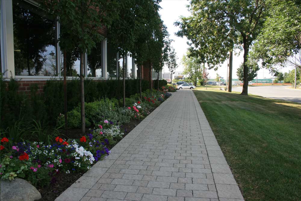 commercial-landscaping-18
